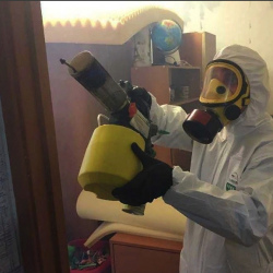 Уничтожение клопов в квартире. Павловск